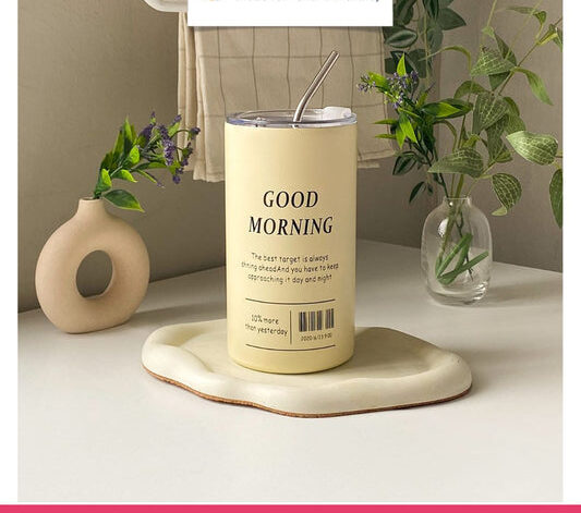 600ml Stainless Steel Insulated Bottle
