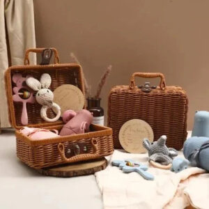 Plastic Rattan Storage Basket With Handle Suitcase Box