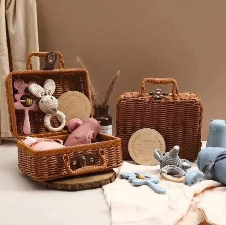 Plastic Rattan Storage Basket With Handle Suitcase Box