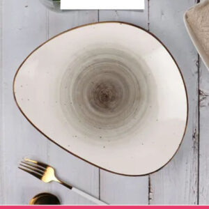 Irregular Ceramic Lunch Serving Plate